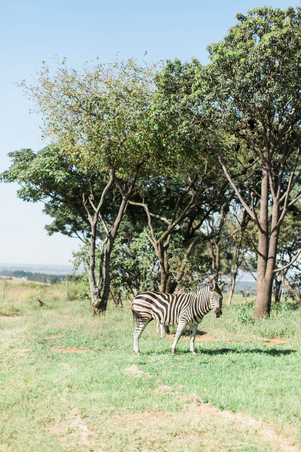 McKenna_Bleu_South_Africa_Joburg_photo-15