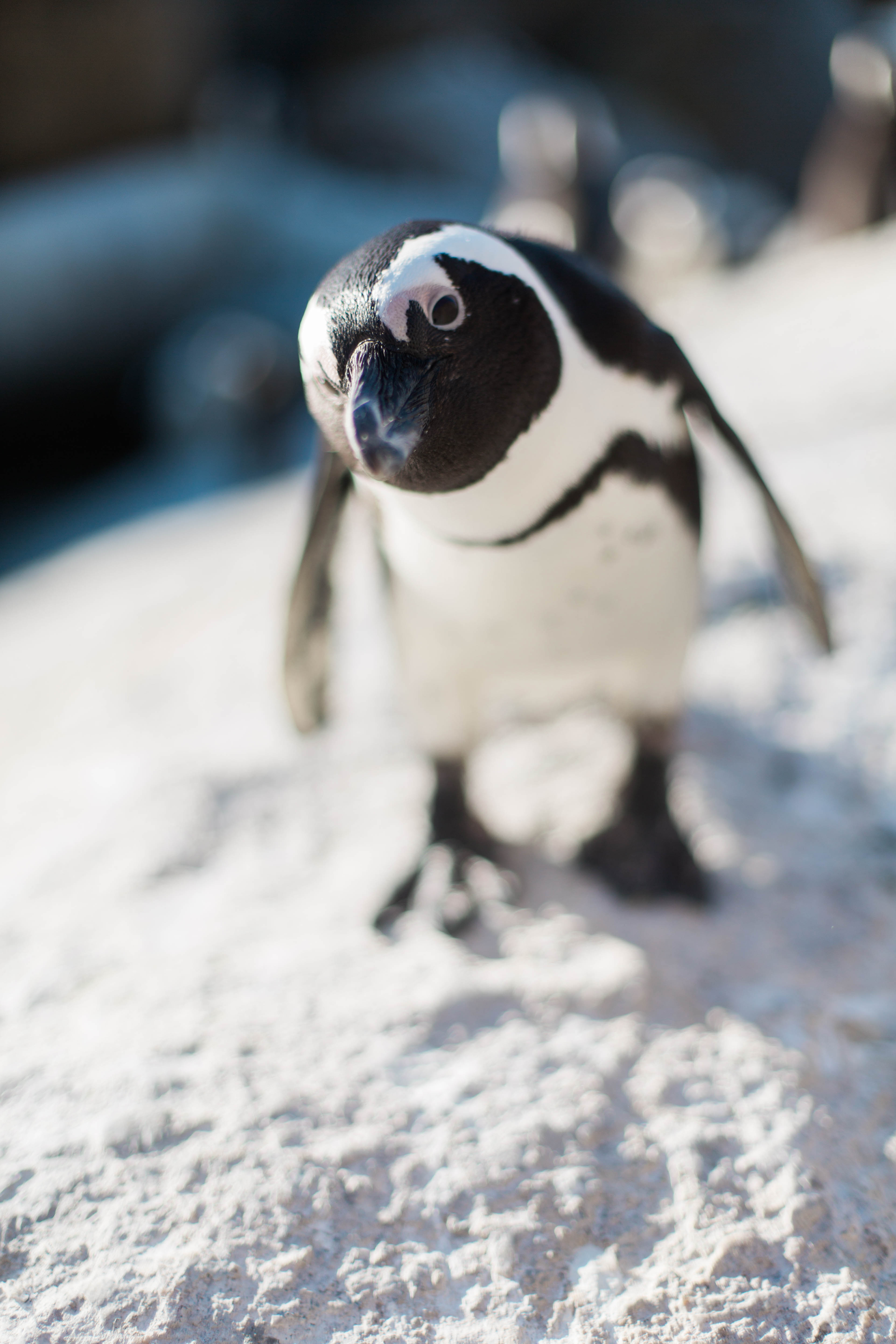 McKenna_Bleu_Travel_Fashion_Lifestyle_Blog_South_Africa_Cape_Town_Stacy_Bauer_Photography_photo-338