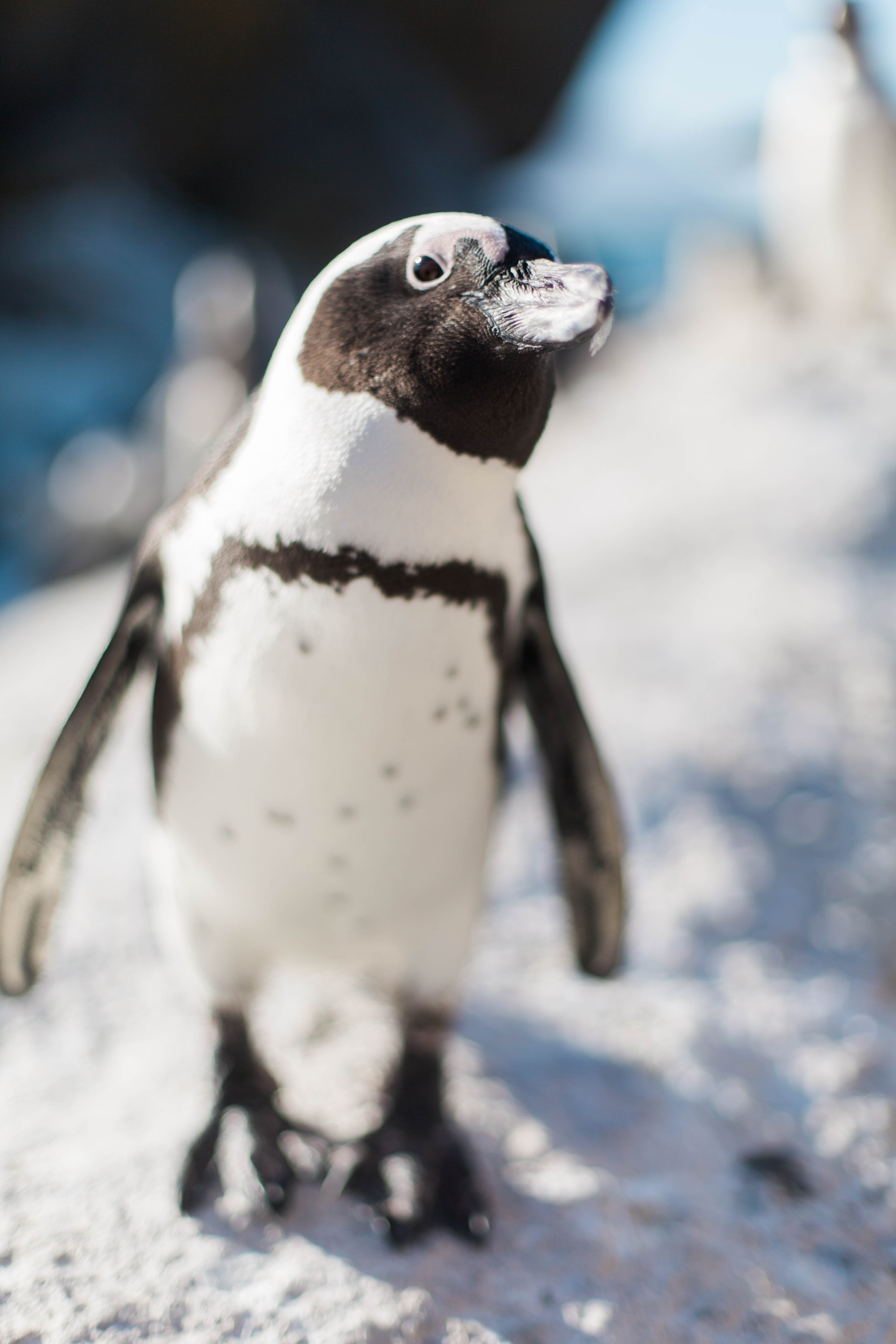 McKenna_Bleu_Travel_Fashion_Lifestyle_Blog_South_Africa_Cape_Town_Stacy_Bauer_Photography_photo-340