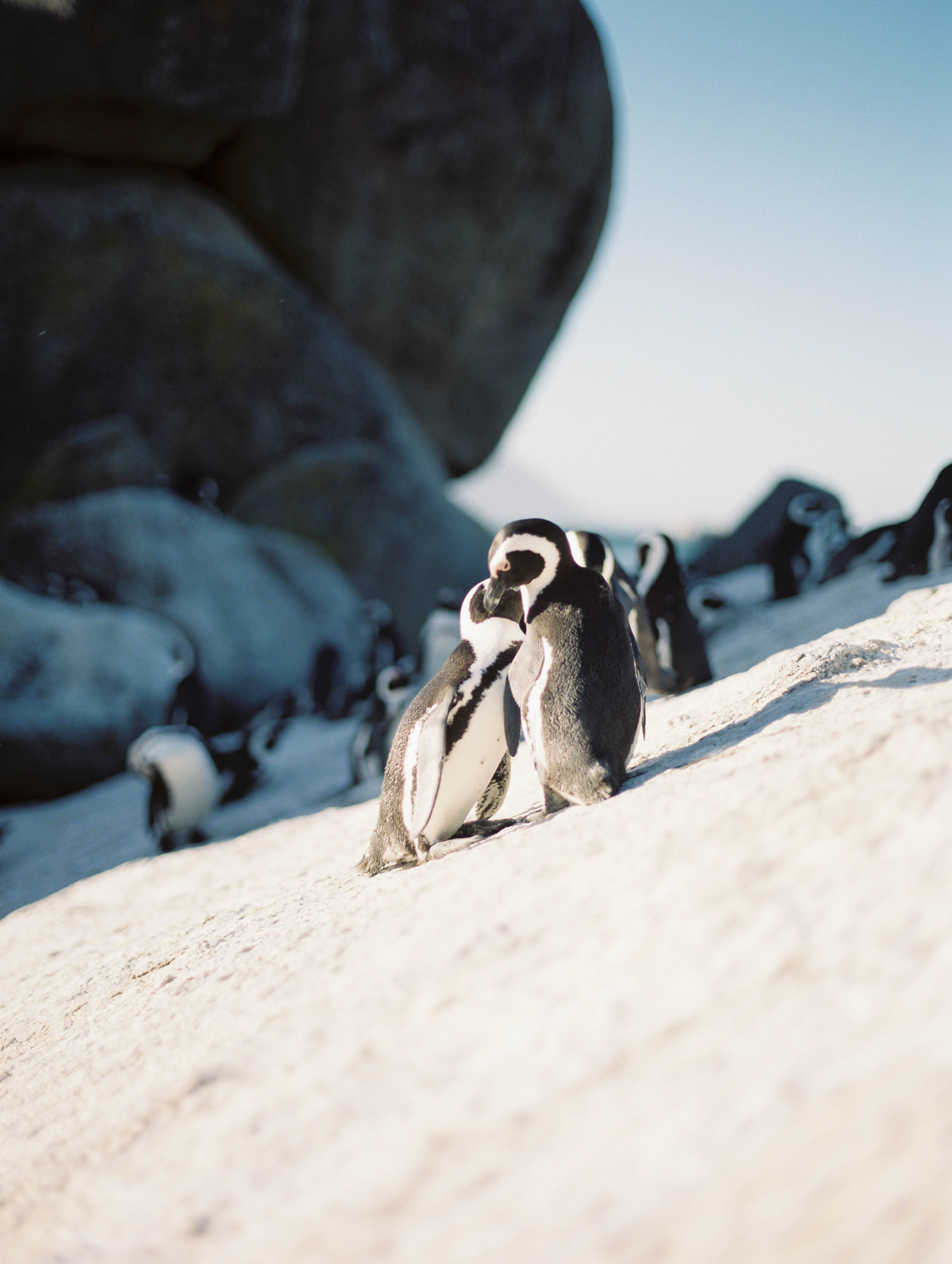 McKenna_Bleu_Travel_Fashion_Lifestyle_Blog_South_Africa_Cape_Town_Stacy_Bauer_Photography_photo-348