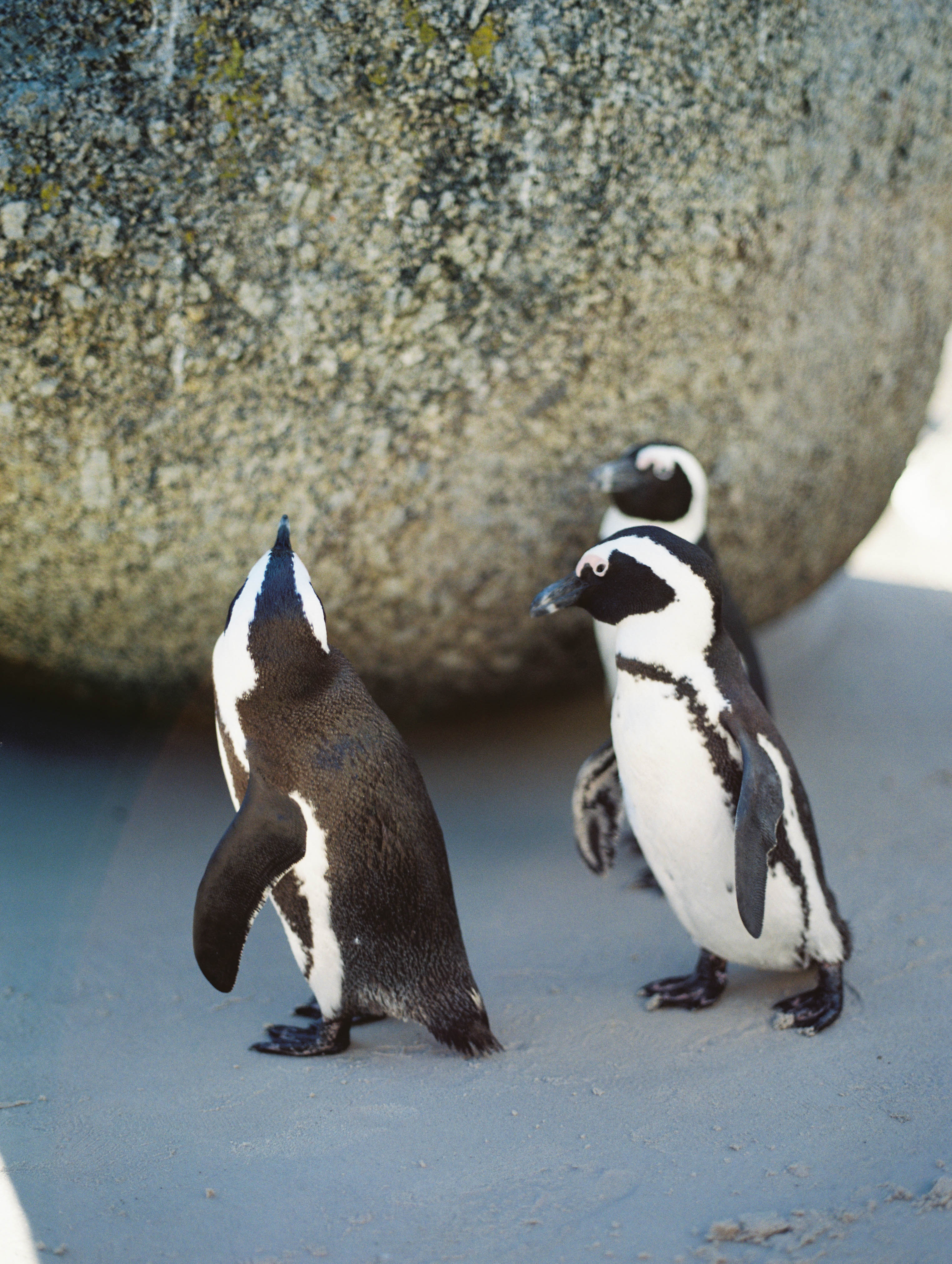 McKenna_Bleu_Travel_Fashion_Lifestyle_Blog_South_Africa_Cape_Town_Stacy_Bauer_Photography_photo-349