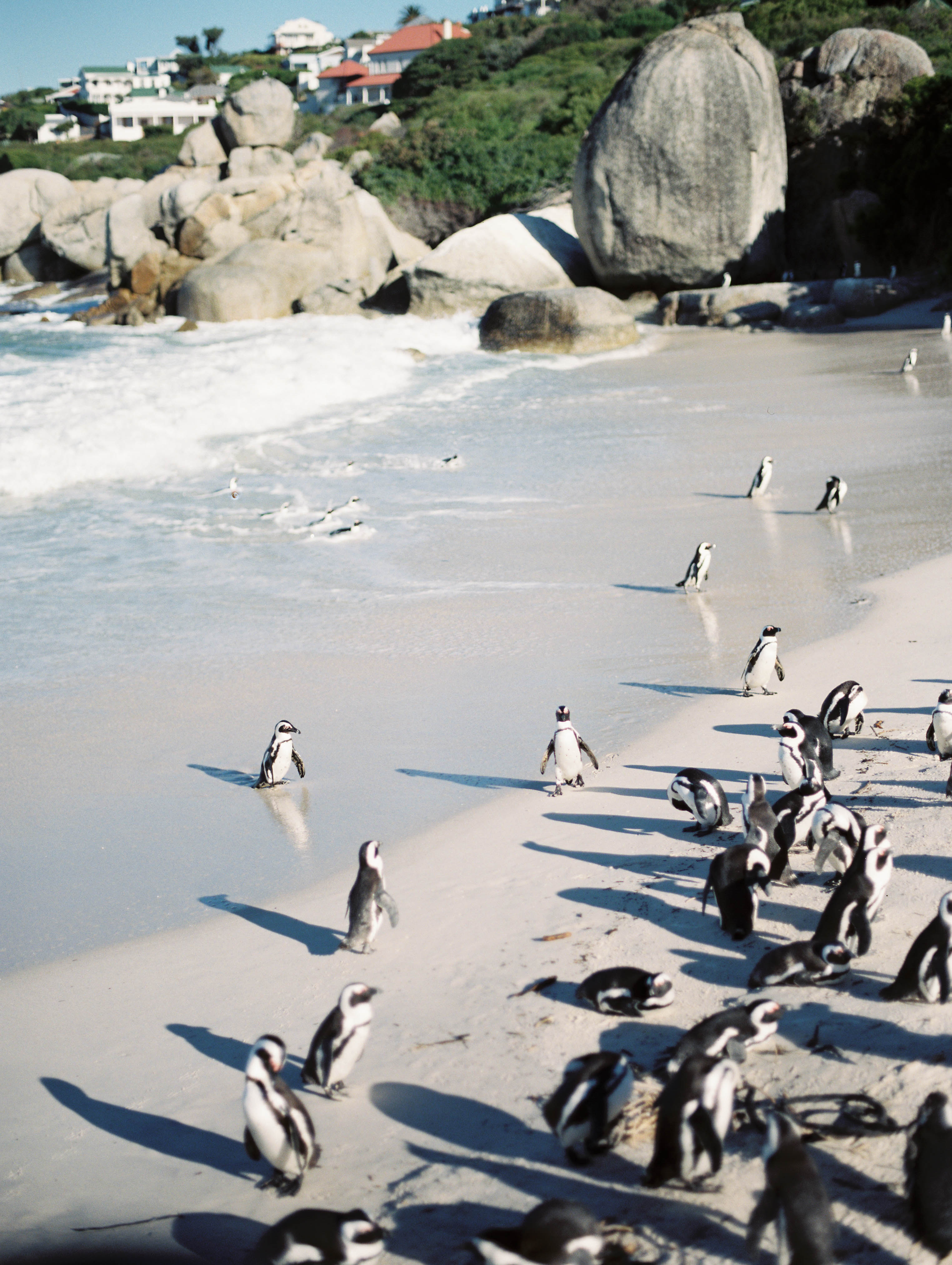 McKenna_Bleu_Travel_Fashion_Lifestyle_Blog_South_Africa_Cape_Town_Stacy_Bauer_Photography_photo-359