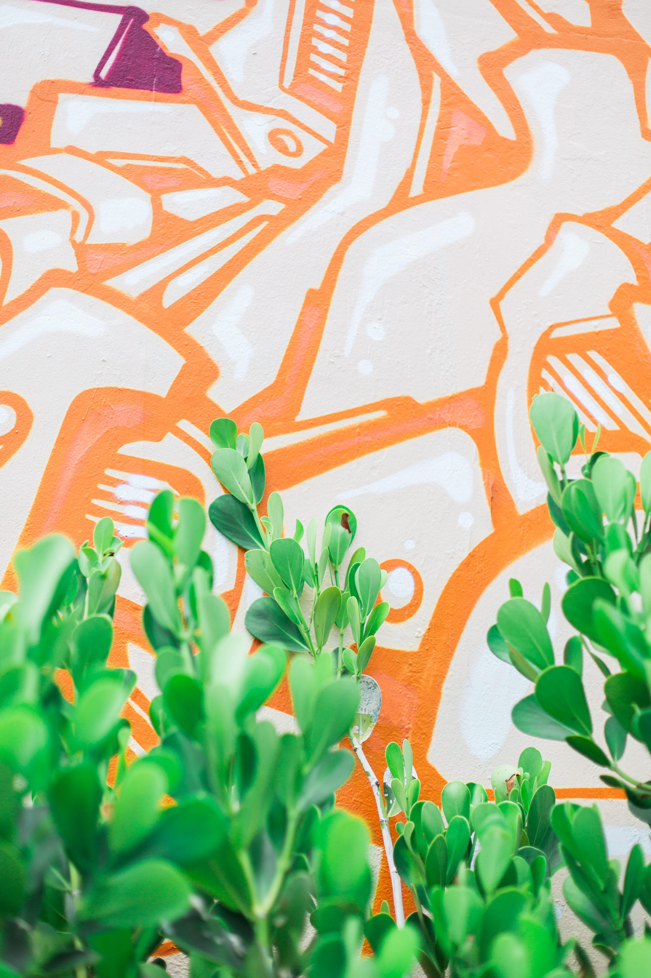 McKenna_Bleu_Miami_Travel_Guide_Color_Walls_Stacy_Bauer_Photography_photo-456