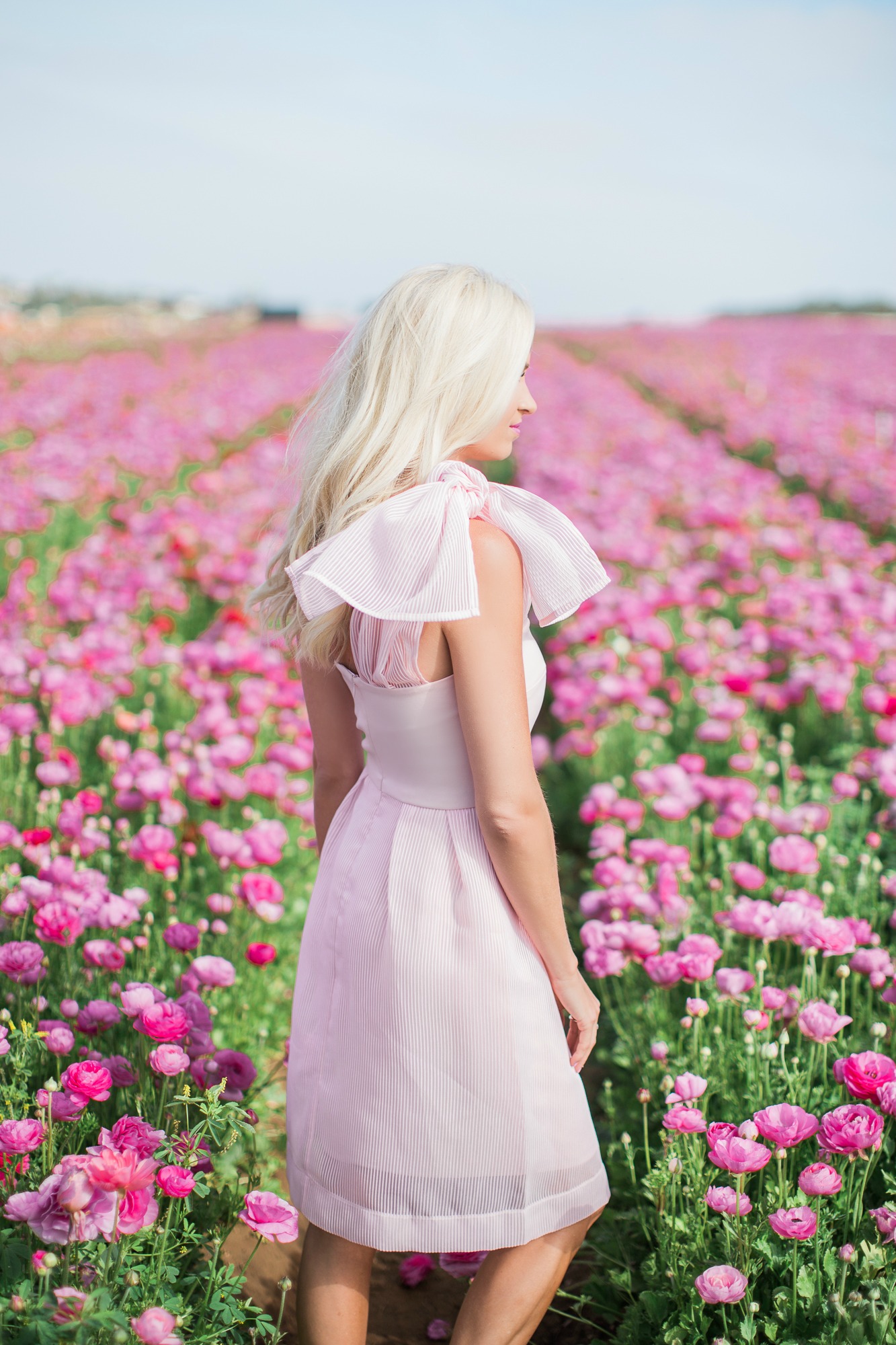 Pink Bow Dress + Flower Fields - McKenna Bleu