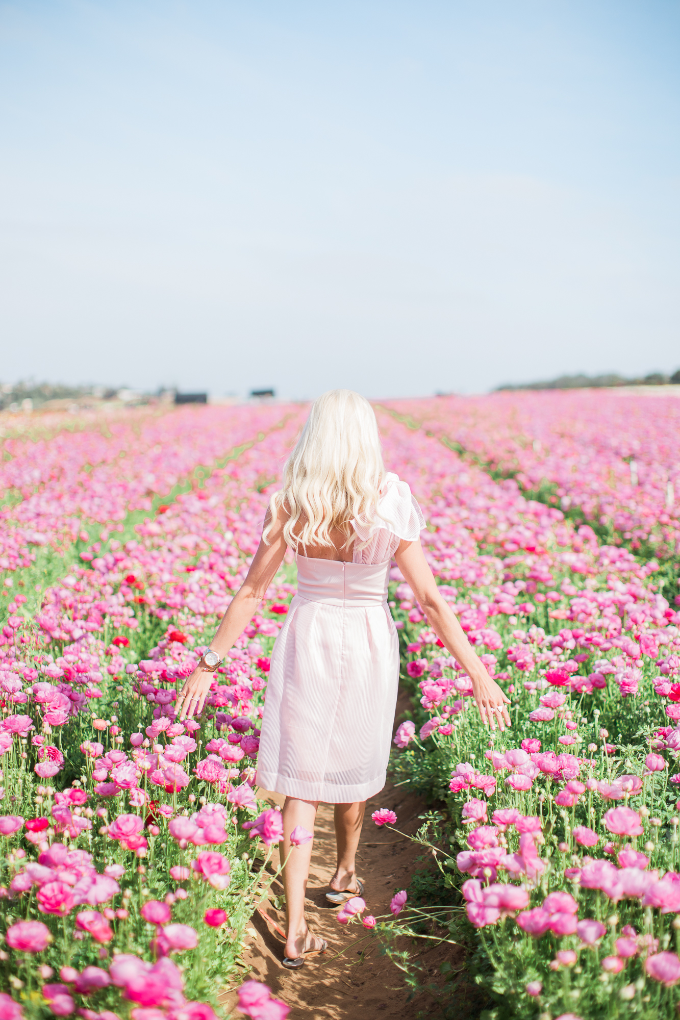 Pink Bow Dress + Flower Fields - McKenna Bleu