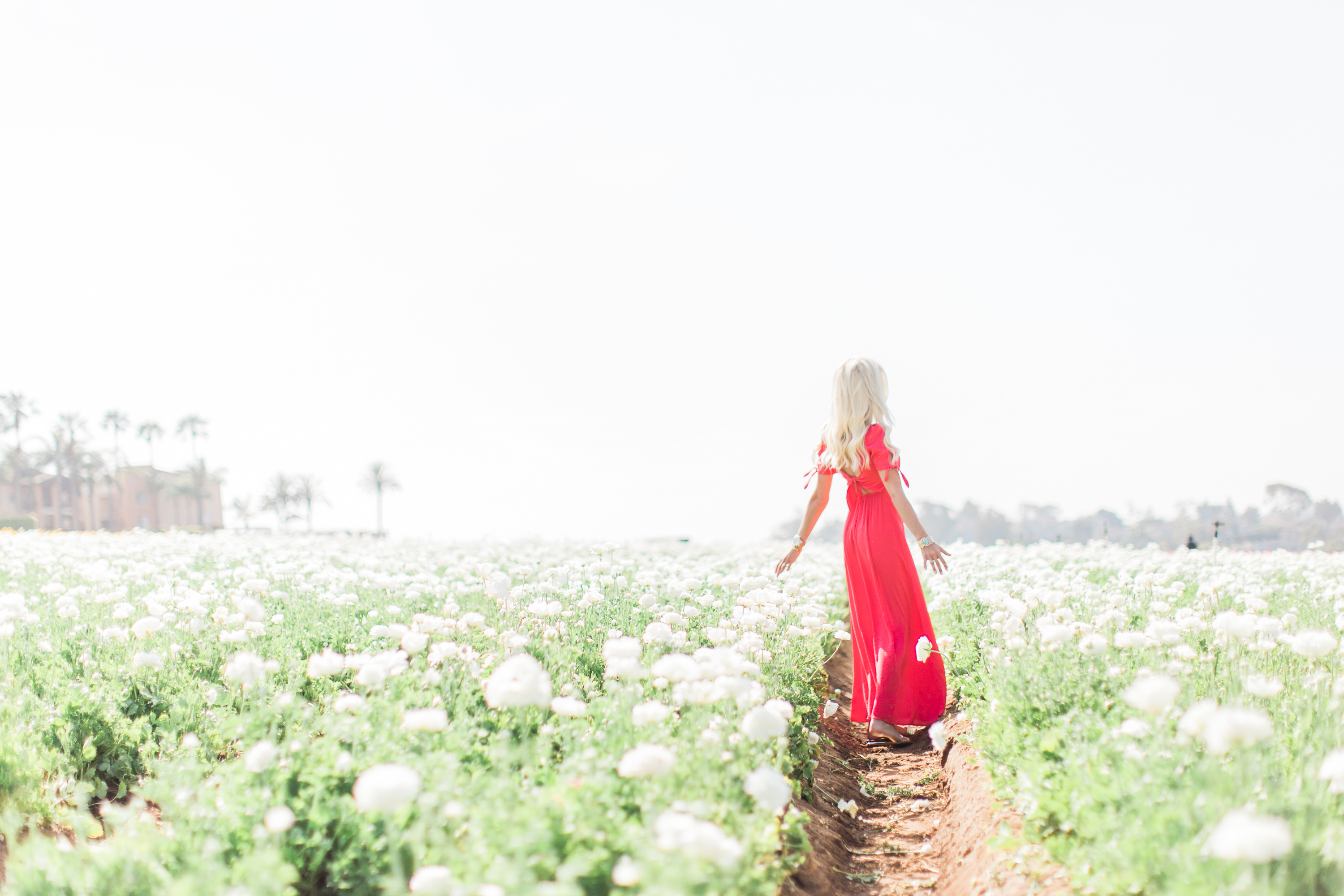 Karlee Kloss Express Dress